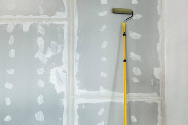Best Mold Documentation for Insurance Claims  in Dublin, GA