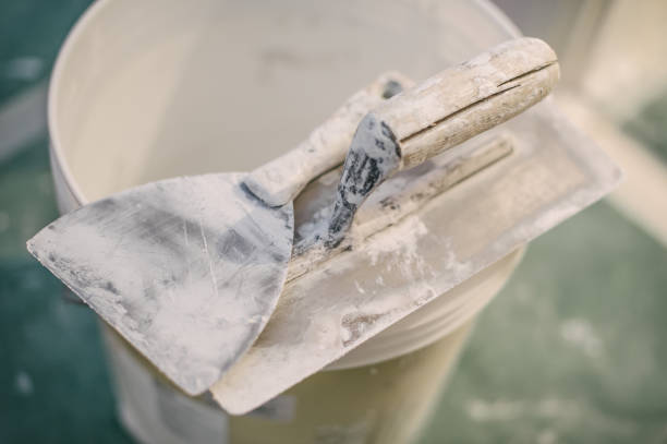 Best Attic Mold Removal  in Dublin, GA