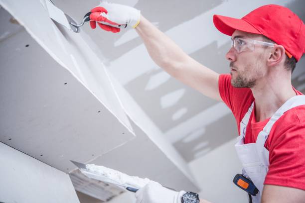 Best Crawl Space Mold Remediation  in Dublin, GA