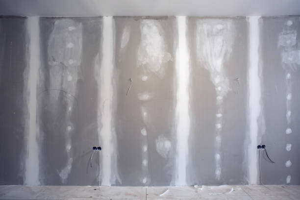 Best Mold Removal for HVAC Installations  in Dublin, GA